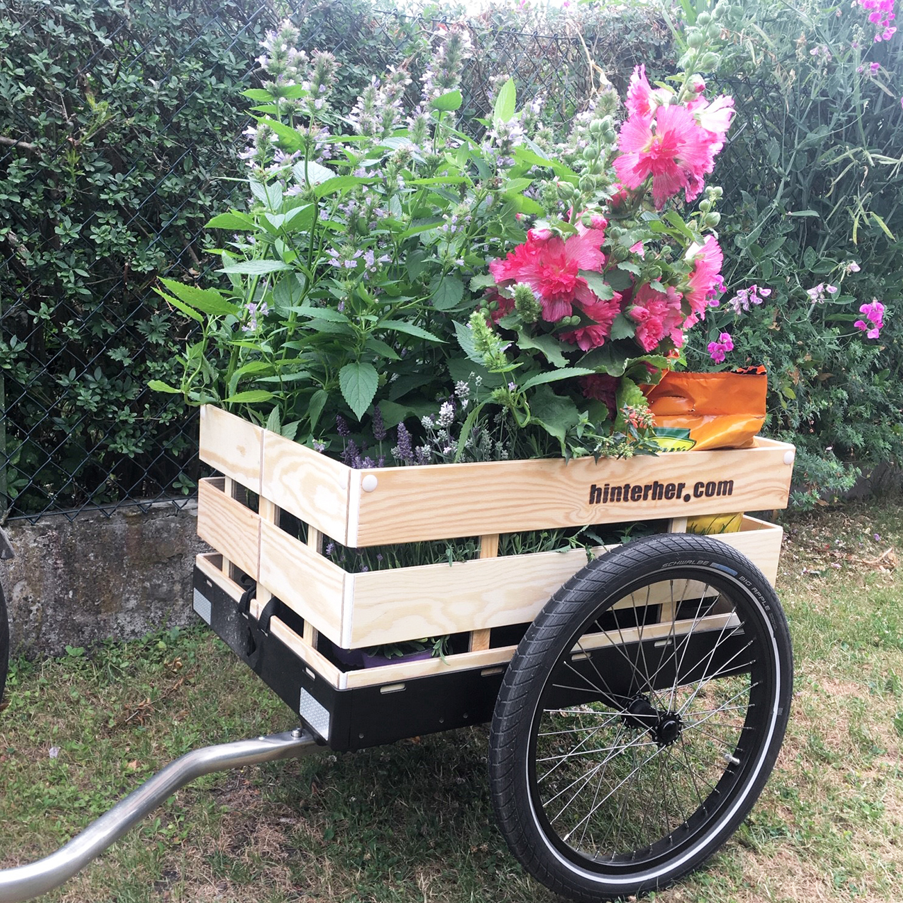 Ein Hinterher Fahrradanhänger transportiert Blumen in den Garten