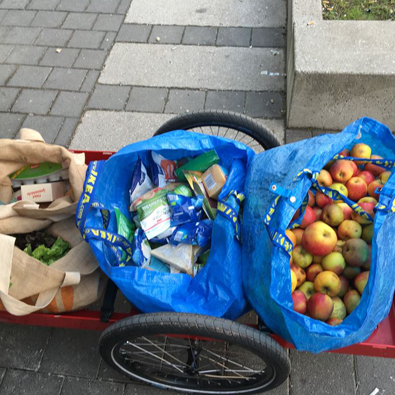 Ein Hinterher Fahrradanhänger beladen mit Taschen voller Äpfel beim Einkaufen