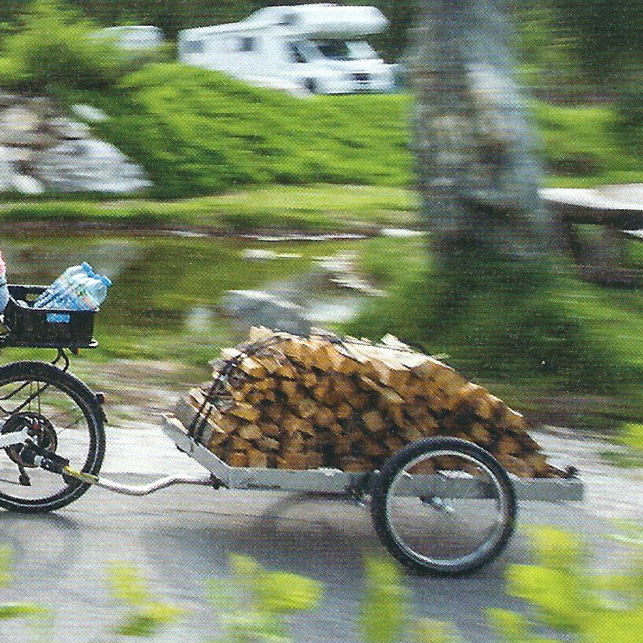 Brennholz mit dem Fahrradanhaenger transportieren